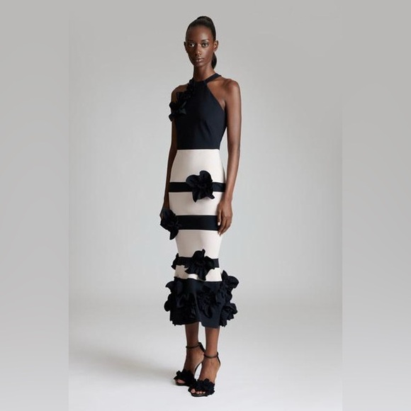 Greta Constantine Evin Midi Dress - Picture 1 of 11